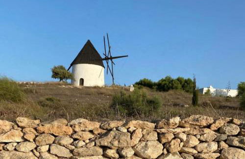 Cortijo Los Garridos - 12 huéspedes - Photo 32