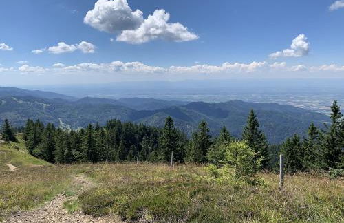 Ferienwohnung Sonnenterrasse - Foto 14