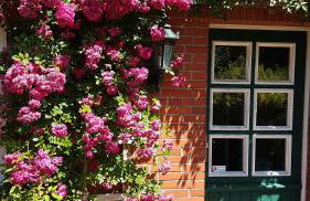 Dat moi lüttje Ostfreesen Landhuus - Foto 1