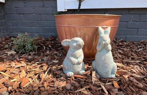 In the Woods by a Pond! Sugar Ranch Guest House! - Foto 32