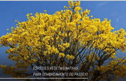 Beach Class - Barra Ondina SSA - Photo 54