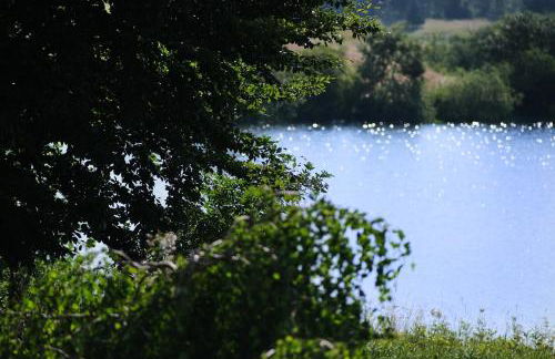 Ferienwohnung am Sumpfteich - Foto 18