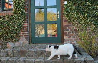 Pensionszimmer im Fliederhof - Foto 23