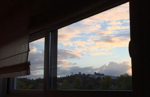 Horta dos Cedros - Foto 49