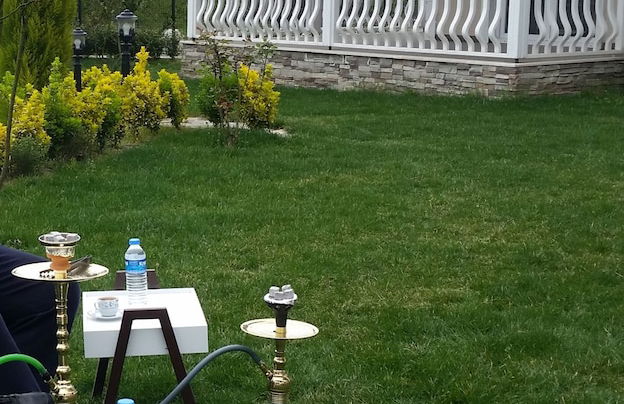 Palace Kirkpinar - Photo 36