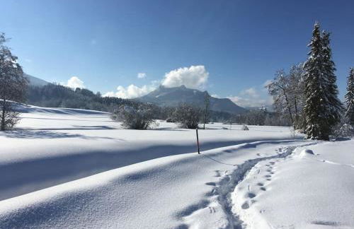 Fritzis Alpenidyll „Sommertraum & Winterromantik” - Foto 16