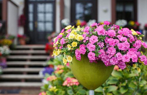 Gästehaus Hoferichter, Whg 2 - Foto 15