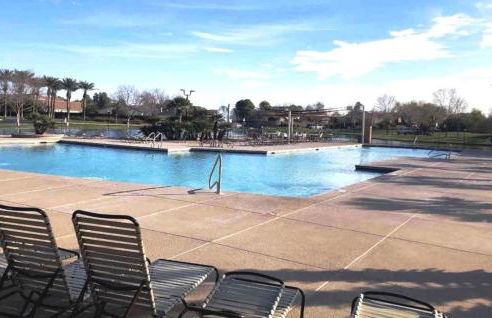 Palmen Maricopa - Photo 71