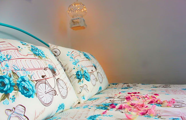 Maltese Maltese - Foto 13