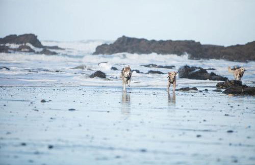 Millook View Farmhouse - Foto 40