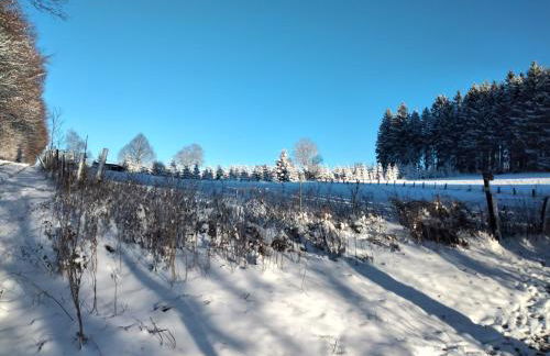 Ferienwohnung Wilmes - Photo 28