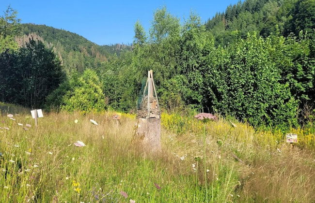 Ferienhaus in Wieda mit Garten - Foto 29