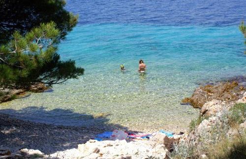 Apartments with parking space Bilo, Primosten - 12868 - Photo 20