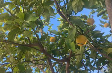 Casa Avellana - Photo 29