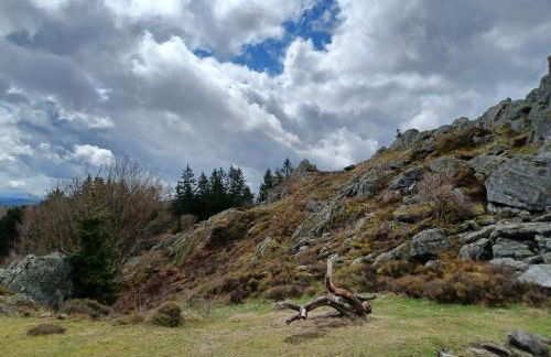 Ferienhaus in der Nähe der Skipiste - Foto 40