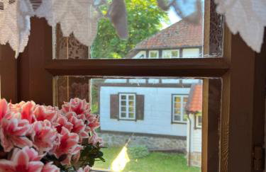 Apartament w XIX-wiecznym Spichlerzu nad Jeziorem z dostępem do parku i widokiem na Dworek Modrzewiowy z 1823 roku - Foto 25