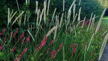 Seinebnb - Havre de paix à la campagne - Honfleur - Foto 4
