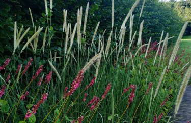 Seinebnb - Havre de paix à la campagne - Honfleur - Foto 4