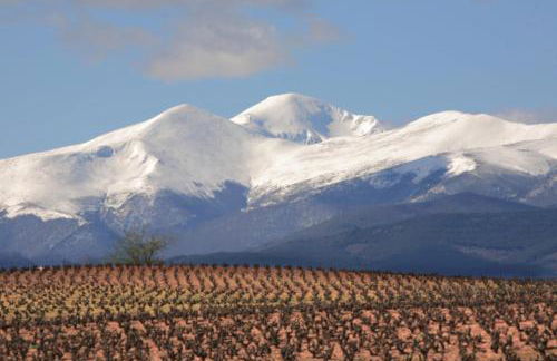 Friends&Family - Photo 55