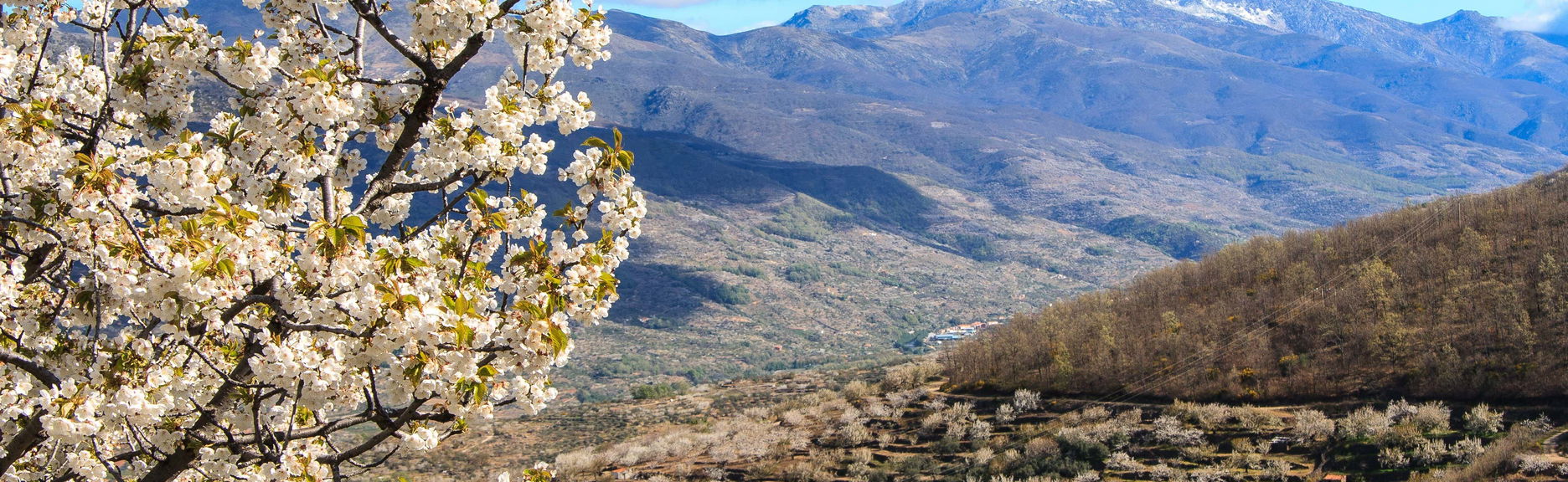 Excursion dans la vallée du Jerte