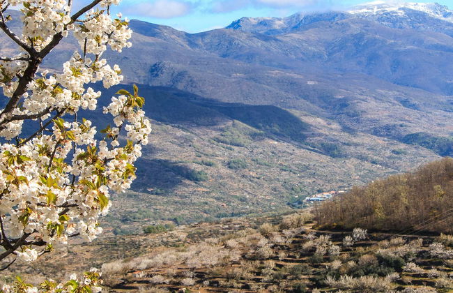 Tour in Cáceres - Photo 1