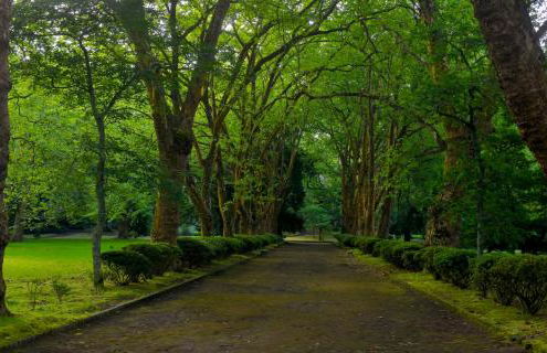 Casa Nostra - Photo 28