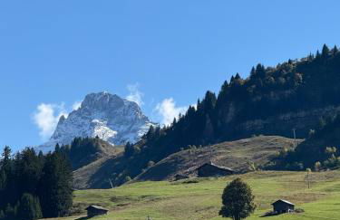 Appartement au Chinaillon 1350 - vue panoramique sur les montagne, -10' des pistes - Foto 41