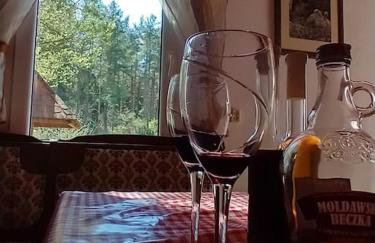 Wigierska Chatka - Foto 31