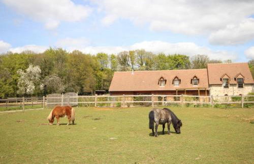 Gîte familial 12 pers., animaux acceptés, à l'orée de la forêt - FR-1-497-18 - Foto 34