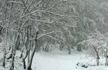 Quinta da Porta - Solar de Vale de Prazeres - Foto 51