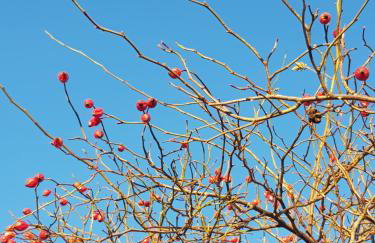 Na Piotrowickiej Przełęczy - Foto 80