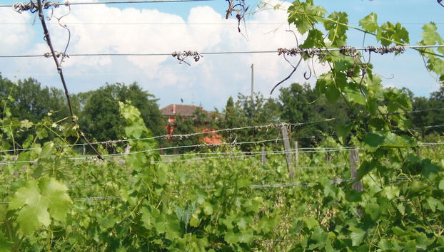 Terrenos do alojamento