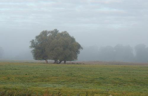 Kranichruf - Photo 15