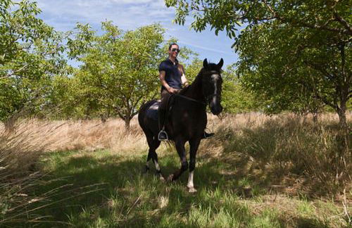 Centre Equestre Du Passe Temps - Foto 22