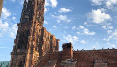 Carpe Diem Home Strasbourg - Foto 3