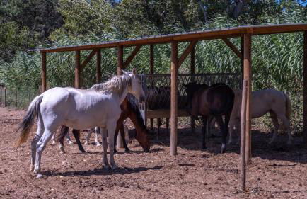 Quinta das Murgas - Photo 27