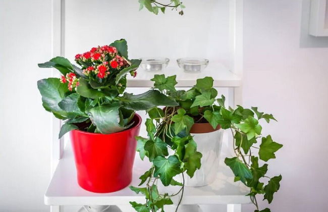 Marina's Flat Limassol - Foto 16