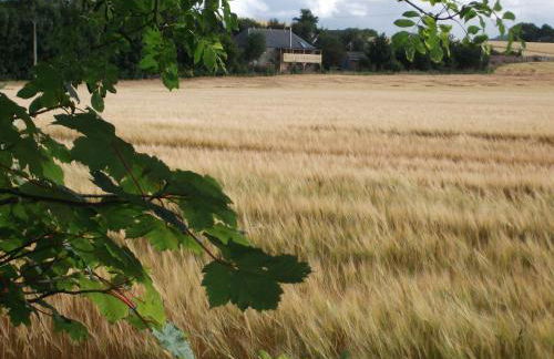 The Granary - Foto 18