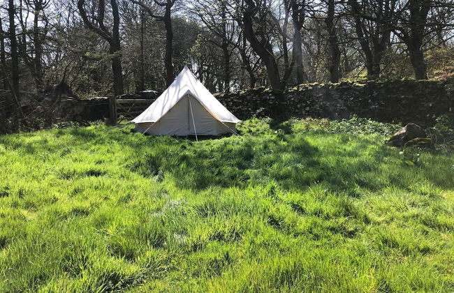 Bell Tent , Carreglwyd Estate, Anglesey - Photo 26