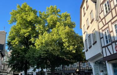 Apartment Buttermarkt - Foto 5