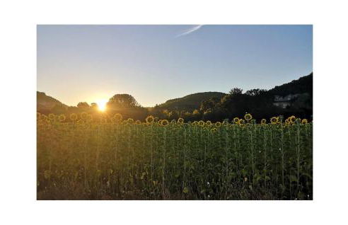 2 Bedroom Amazing Home In Pays De Belvès - Foto 20