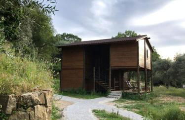 Quinta do Ragal - Photo 12