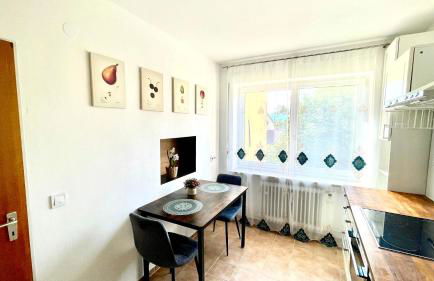 Apartment near Salzburg 3 Zi Bergblick 92m2 - Foto 10