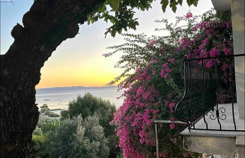 Villa pinelopi - Foto 8