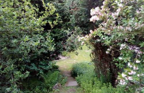 Apartamenty Kaskada - Foto 16