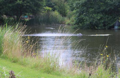 The Lodge - 2 acres of garden with hot tub and fire pit and BBQ - Foto 11