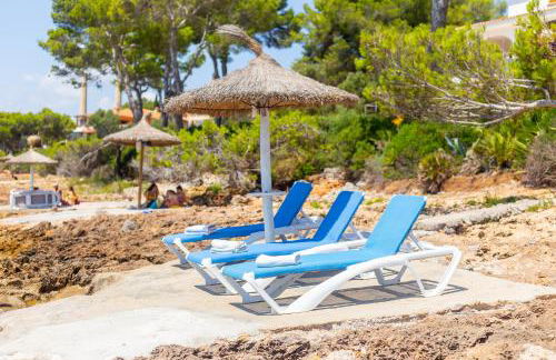 Far alcanada - Foto 36