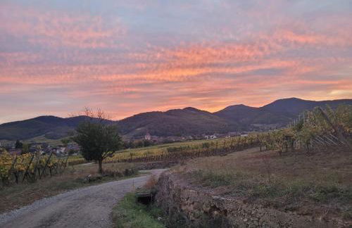 Naova Cosy Studio - Foto 40