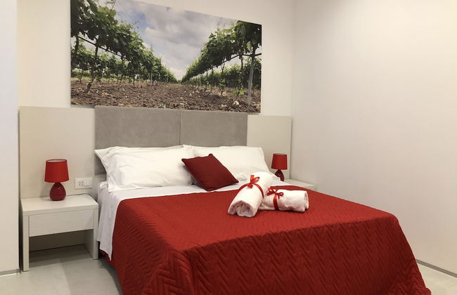 Agriturismo Terra di Negroamaro - Foto 3