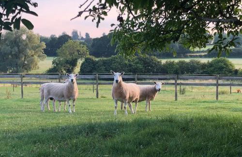 Coach House - detached cottage within 135 acres - Foto 33